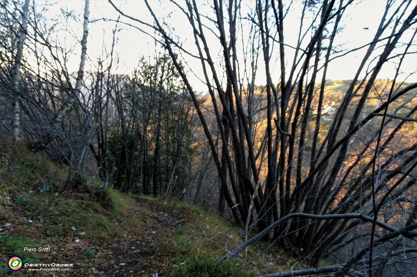 75 Dal roccolo del costone discesa a Salvarizza.JPG
